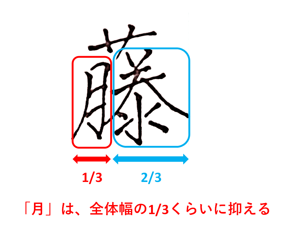 「月」は全幅の1/3くらいに抑える：「藤」