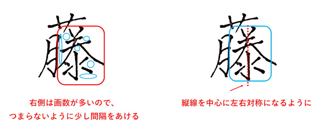 右側はスペースを意識して、間隔を詰め過ぎないように注意：「藤」