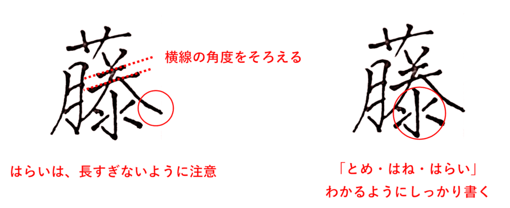 右側は横線の角度をそろえ、下部はとめ・はね・はらいがはっきりわかるように書く：「藤」