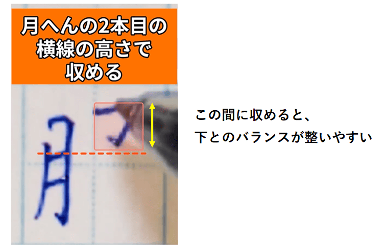右側の上部は月へんの横線2本目の高さで収める：「服　書き方」