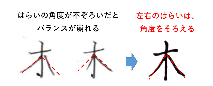 コツ⑤｜左払い・右払いの角度と長さを揃える：「木の書き方」